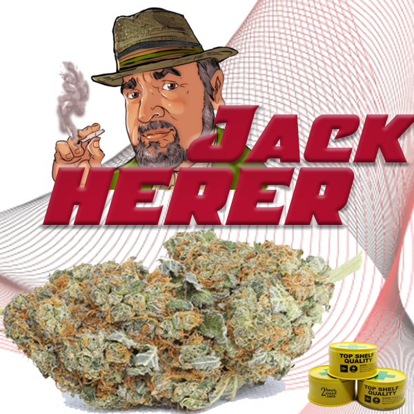 5 best cannabis strains to buy in Oslo Norway