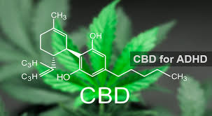 cannabis chemical properties and how it works on the body