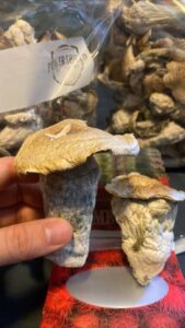 kjøp psykedeliske sopper i Norge